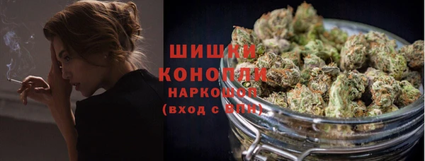 шишки Баксан