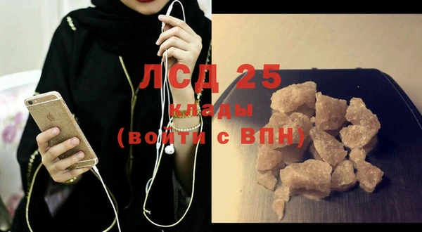 шишки Баксан
