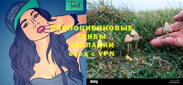 шишки Баксан