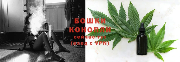 шишки Баксан