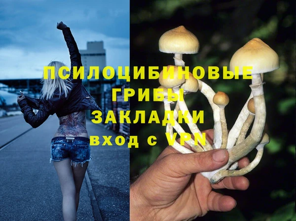 хмурый Балабаново