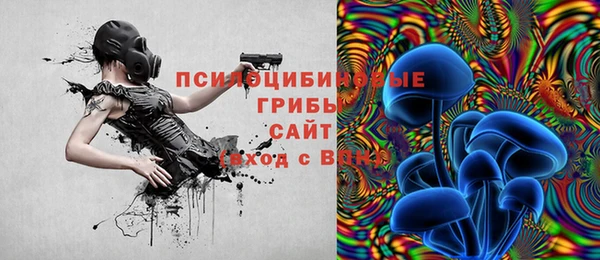 шишки Баксан