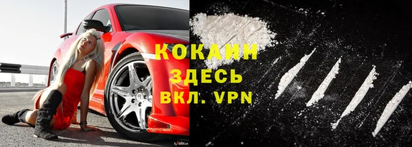 шишки Баксан
