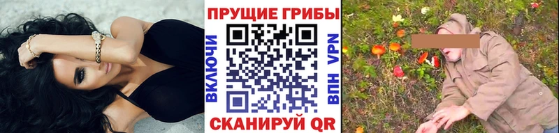 Галлюциногенные грибы прущие грибы  где купить наркотик  Великий Устюг 